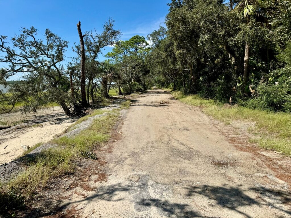 A narrow, weathered dirt road runs through a wooded area with trees and patches of grass on both sides under a clear blue sky.
