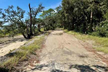 A narrow, weathered dirt road runs through a wooded area with trees and patches of grass on both sides under a clear blue sky.