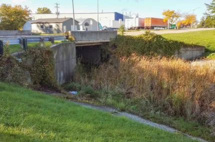 A concrete culvert overgrown with vegetation runs beneath a road near an industrial area with buildings, parked trucks, and autumn trees in the background.