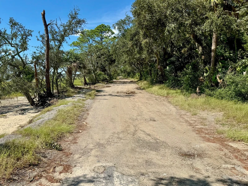 A narrow, cracked dirt road runs through a wooded area with trees and grass under a blue sky.