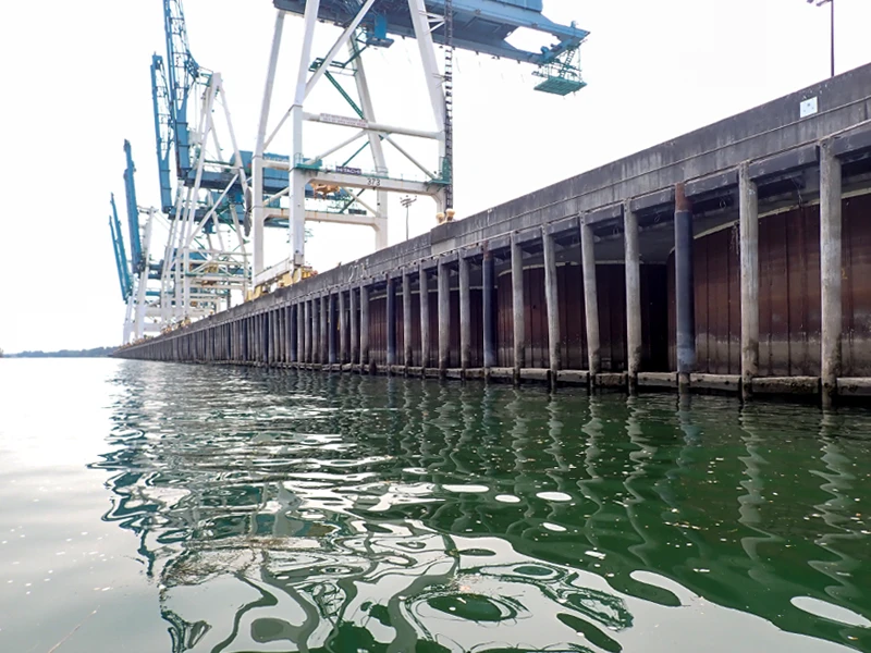 Large shipping cranes stand along an industrial dock above greenish water, with reflections visible on the surface.